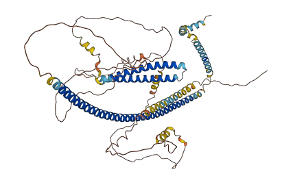 TMCC1 3D structure