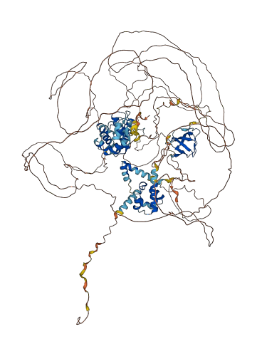 SASH1 3D structure