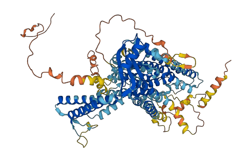 TMEM63A 3D structure
