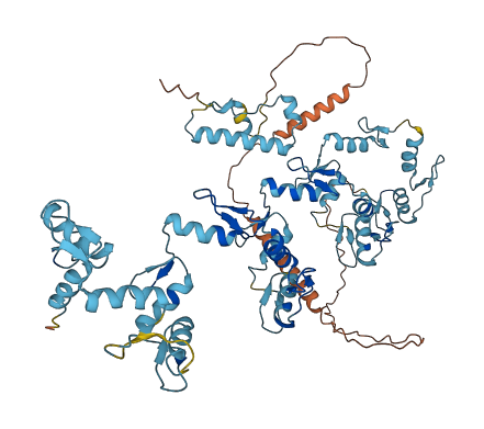 ZNF432 3D structure