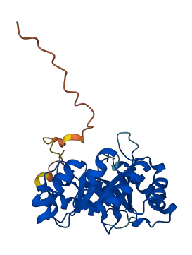 PLPBP 3D structure