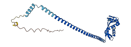 ERLIN2 3D structure