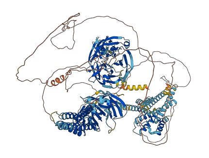 ADGRL1 3D structure