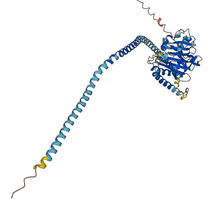 ENDOD1 3D structure