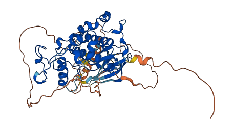 CDK14 3D structure