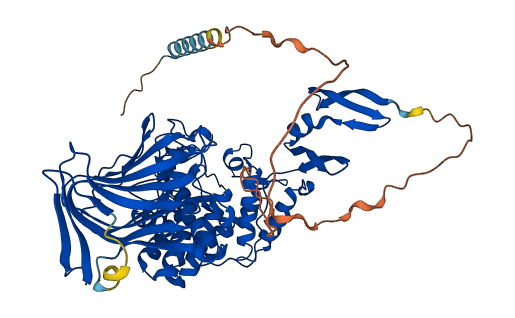 GLCE 3D structure