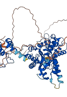 GLS 3D structure