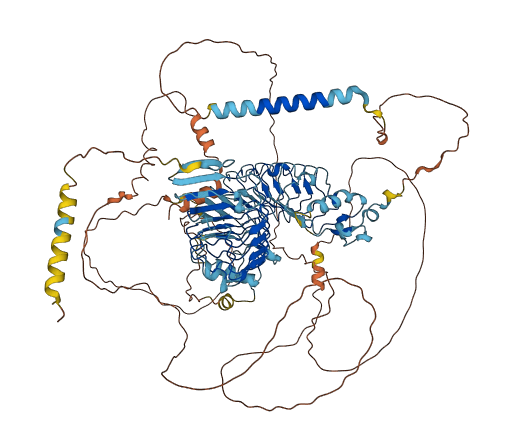 SLITRK3 3D structure