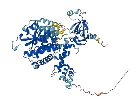 FBXO21 3D structure