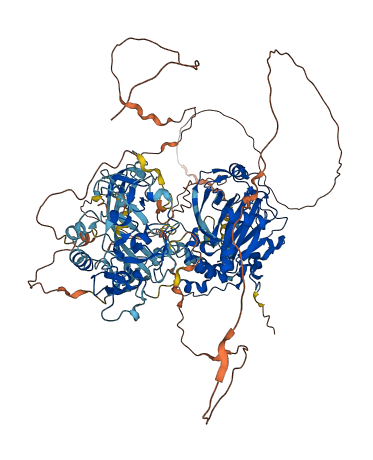 KDM4B 3D structure