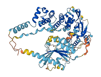 RHOBTB3 3D structure