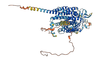 SLCO2B1 3D structure