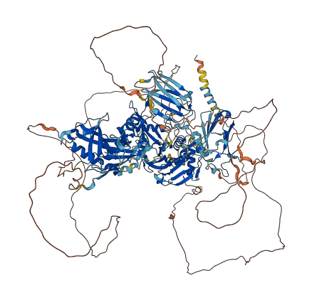 USP19 3D structure