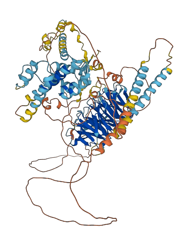 WDR47 3D structure