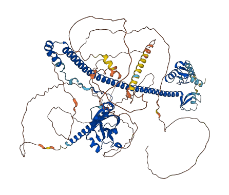TRIM37 3D structure