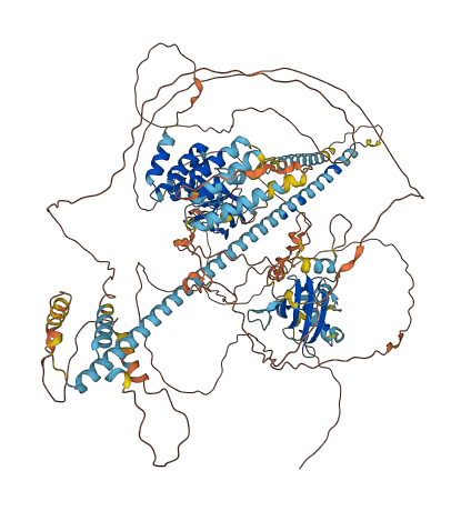 CAMTA2 3D structure