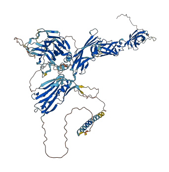 CLSTN1 3D structure