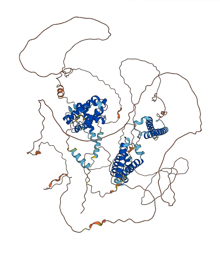 FAM13A 3D structure