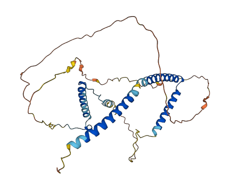 HEXIM1 3D structure