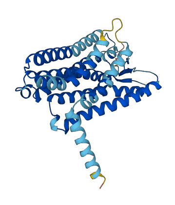OR2F2 3D structure