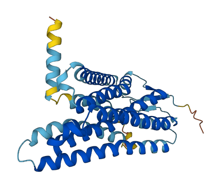 OR6B1 3D structure