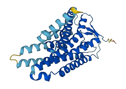 OR4F21 3D structure
