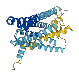 OR2A4 3D structure
