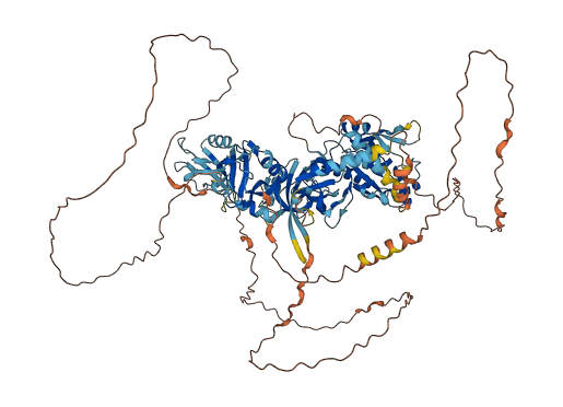 TJP3 3D structure