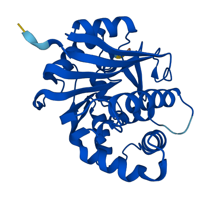 INMT 3D structure