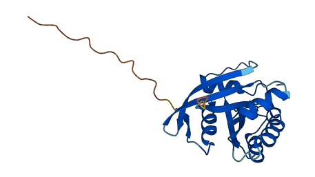 DIRAS1 3D structure