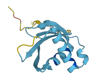 RPP14 3D structure