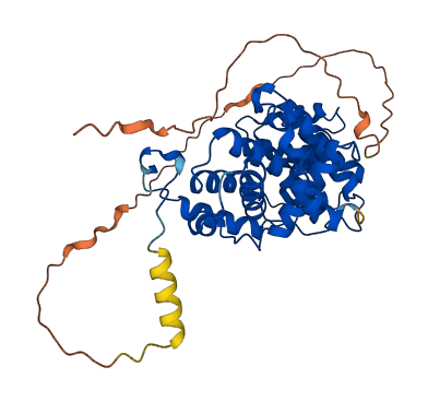 CCNB2 3D structure