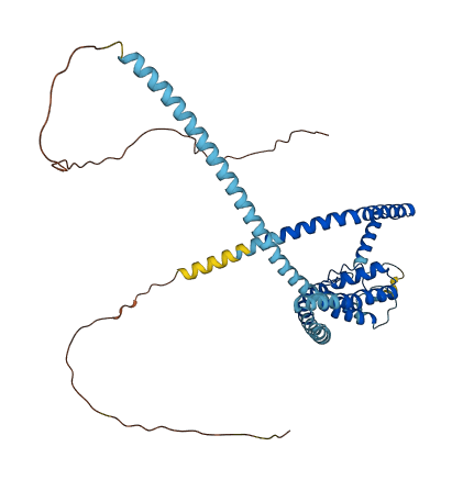 KCNK2 3D structure