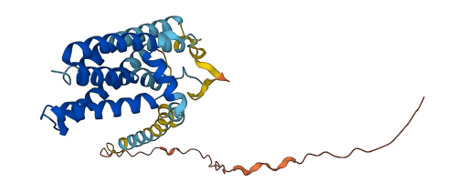YIF1A 3D structure