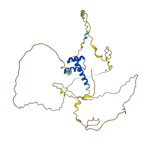 ALX3 3D structure