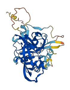 PRSS23 3D structure
