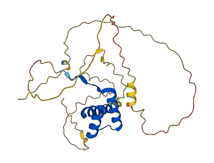 NKX2-2 3D structure