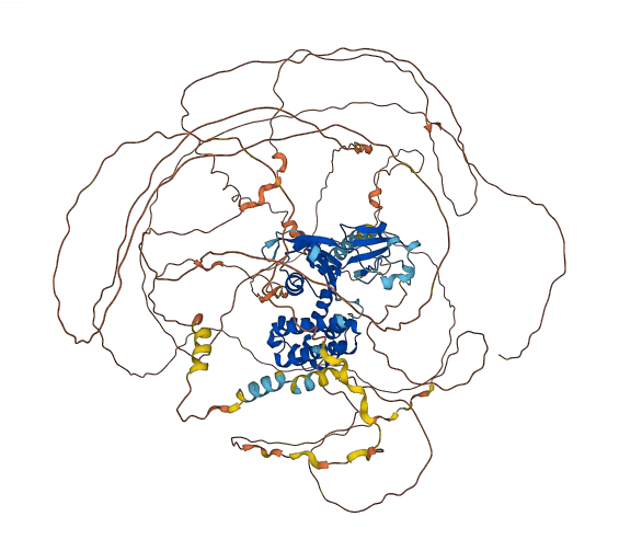 SCAF4 3D structure