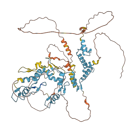 ZNF202 3D structure