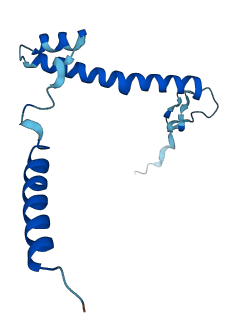 NDUFB6 3D structure