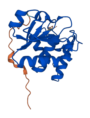 DUSP14 3D structure