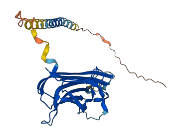 TNFSF15 3D structure