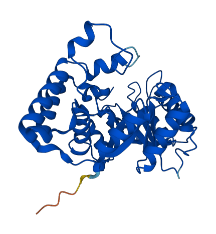 AKR7A3 3D structure