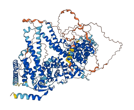 UBE4B 3D structure