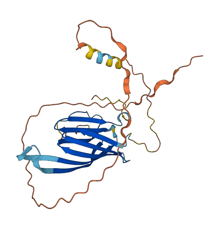NXPH2 3D structure