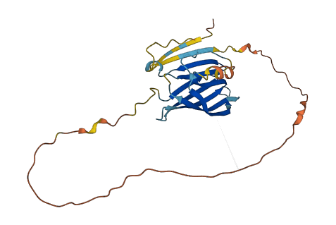 NXPH3 3D structure