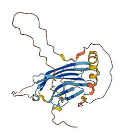 NXPH4 3D structure