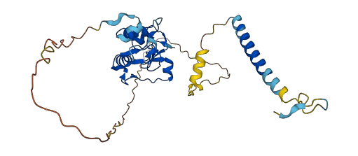 ZFPL1 3D structure