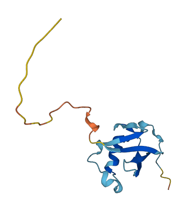 UBL3 3D structure