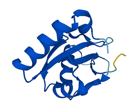 GABARAP 3D structure